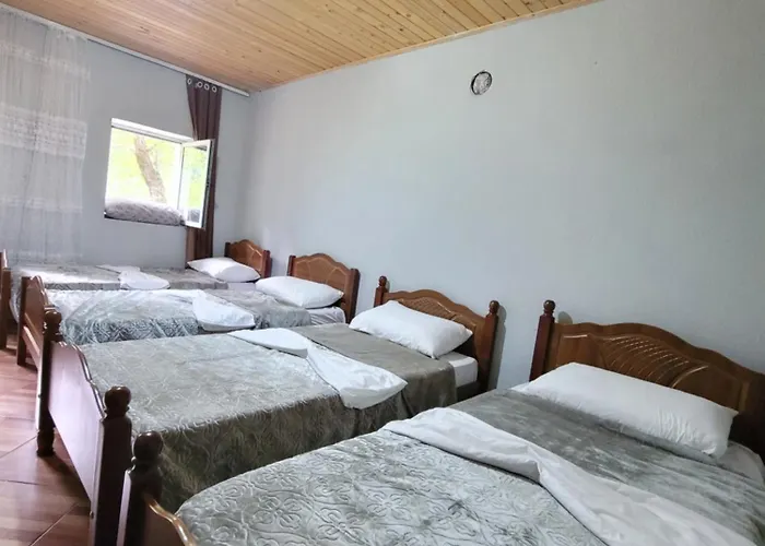 Emanueli 度假居 *